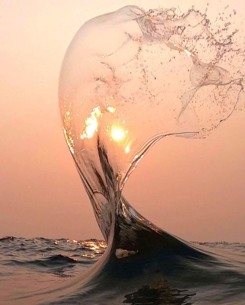 Cette image a un attribut alt vide ; le nom du fichier est img_0721.jpeg