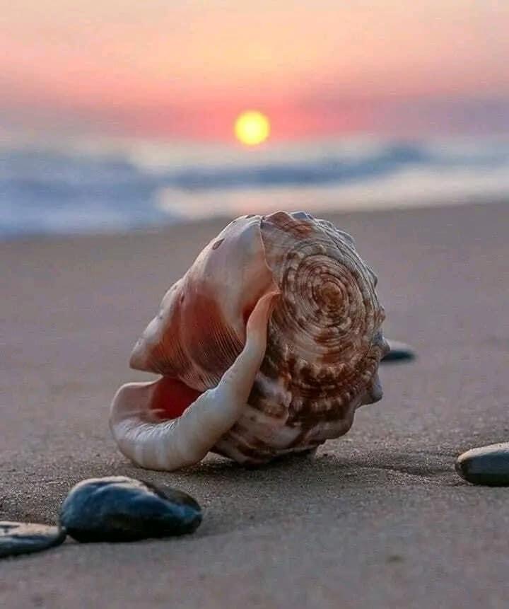 Cette image a un attribut alt vide ; le nom du fichier est psychoprat-jarias-serenite.jpg